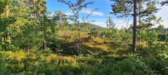 Monen-Kvennhusmoen