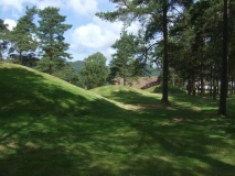 Nygård