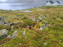 Grøttingsvollen