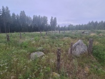 Bjølsenskogen