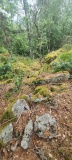 Steinvikåsen