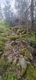 Bjomdalskollen