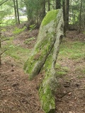 Forsetlund-Ekveien