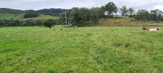 Riblandsskaret