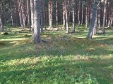 Hæreidsmoen
