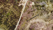 Click for full size image of Tingvatn Stone Circles (PID:209857) Tingvatn Stone Circles