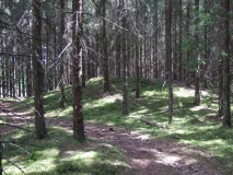 Rokke barrow cemetery