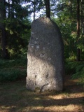 Ytre Grevstad