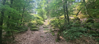 Røvern