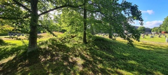 Møglestu