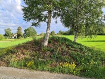 Østgaarden-Egge