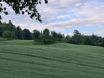Kirsebærhaugen