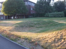 Monaryggen
