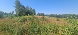 Grøtjønn-Høgda