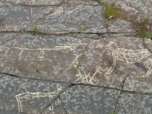 Holtås Helleristninger