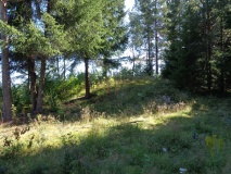 Nordre Bårnes