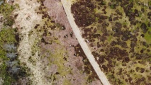 Click for full size image of Tingvatn Stone Circles (PID:209860) Tingvatn Stone Circles