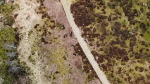 Tingvatn Stone Circles