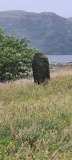 Utstein Kloster Standing Stone