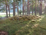 Hæreidsmoen