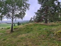 Bergshaugen