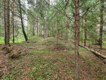 Briskemoen