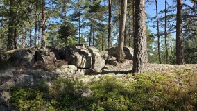 Siljantjønn Hillfort