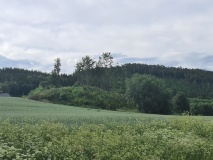 Vistavegen