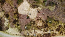Click for full size image of Tingvatn Stone Circles (PID:209859) Tingvatn Stone Circles