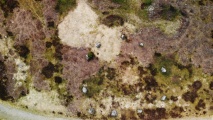 Tingvatn Stone Circles