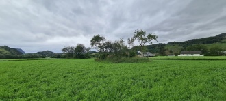 Holmen-Bjerkreim