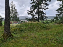 Bergshaugen