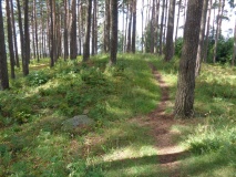 Trompeterhøyden