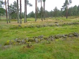 Sosteli