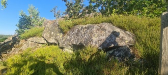 Stein-Storås