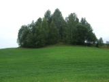 Lysthaugen