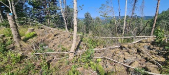 Rustadkollen