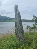 Naustneset-Dalsfjordvegen