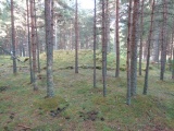 Hæreidsmoen