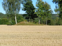 Skauen