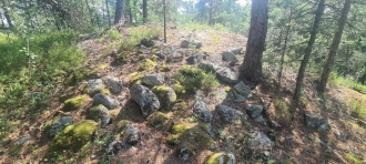 Kjempås