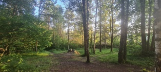 Nøstvet Mesolithic Settlement