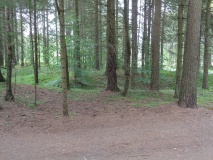 Bratthaugåsen