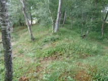 Baggeljarlshaugen