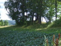 Kapellhaugen