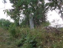 Varaberg