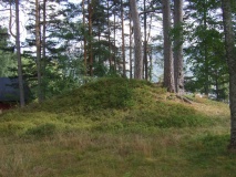Hanehaug