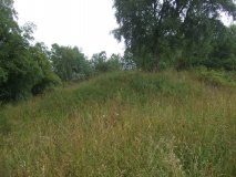 Kakkelhaugene