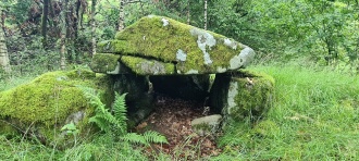 Offeralteret
