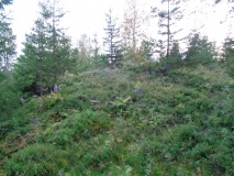 Gjevranmarka Gravfelt